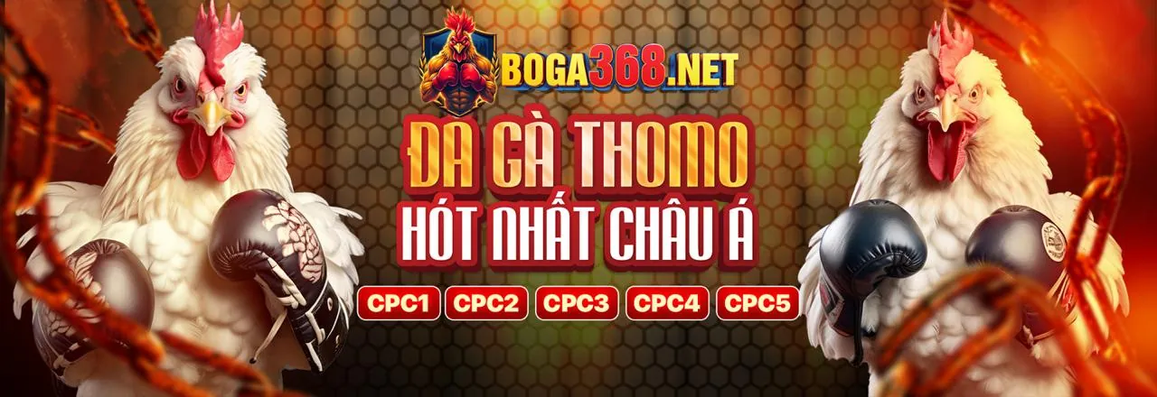 Cá Cược Thể Thao tại kubet777