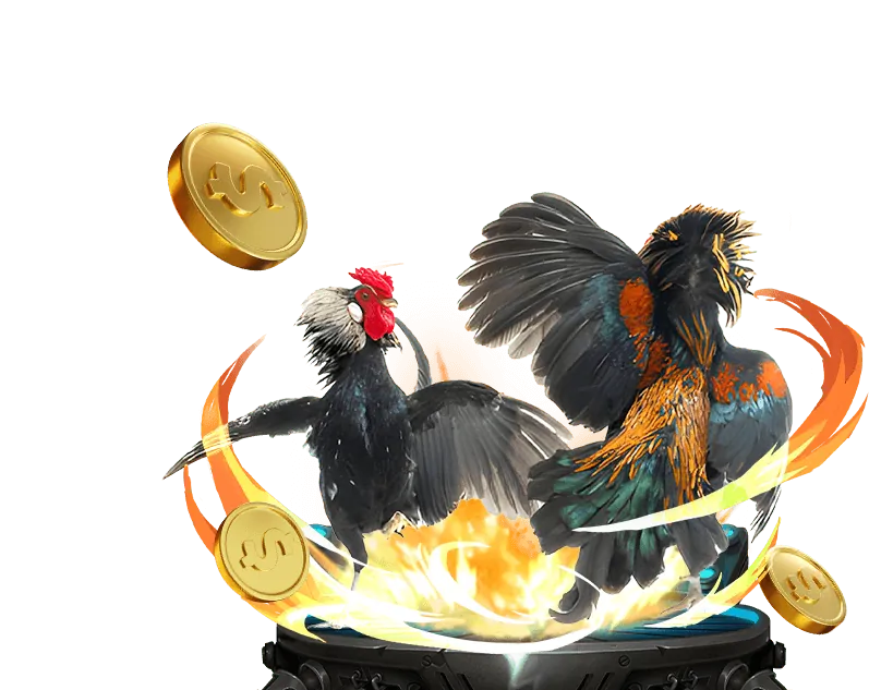 Quy tắc trò chơi và cá cược công bằng tại kubet777 casino